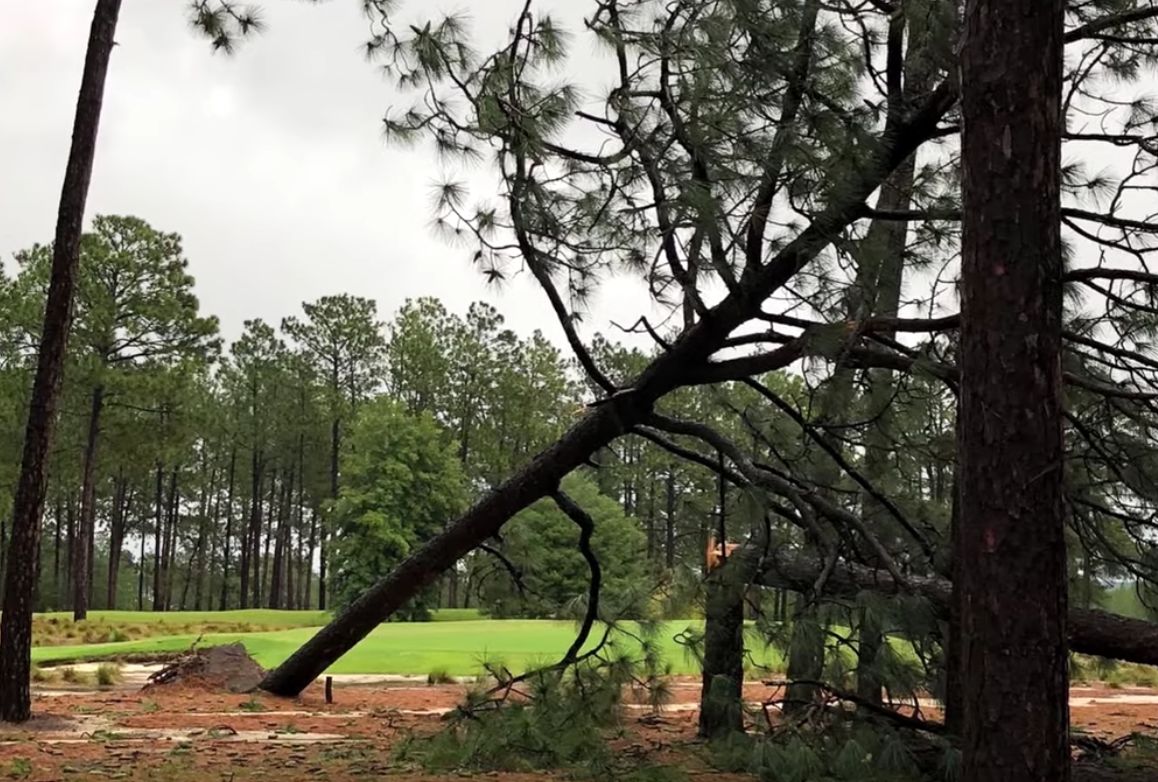 Pinehurst No. 2